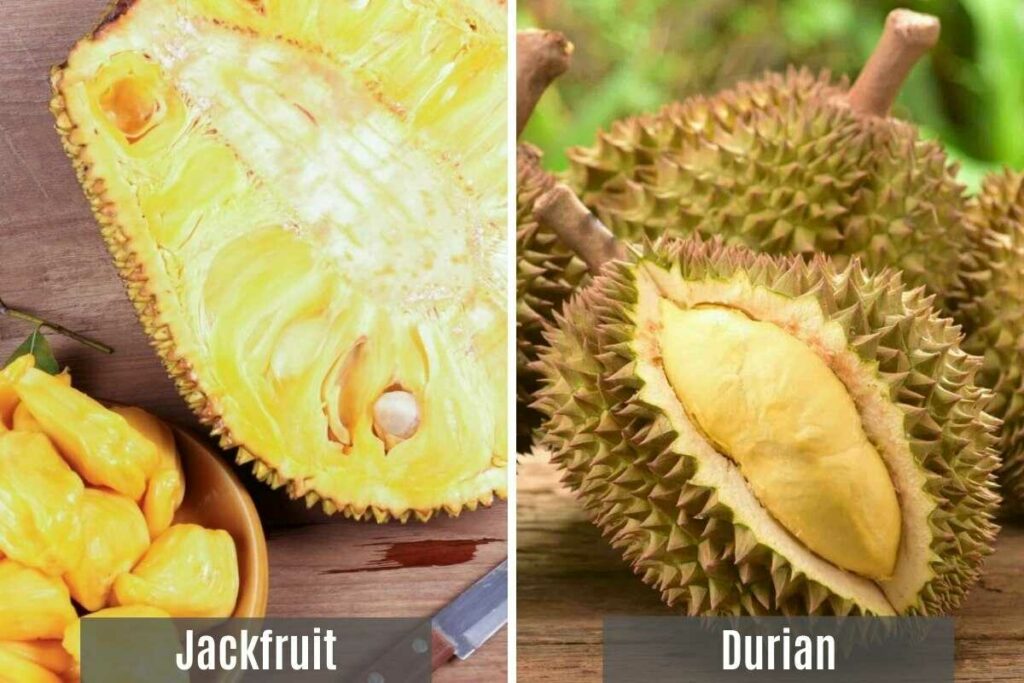 Koláž z dvoch obrázkov - na prvom je rozkrojený jackfruit a na druhom duriany.