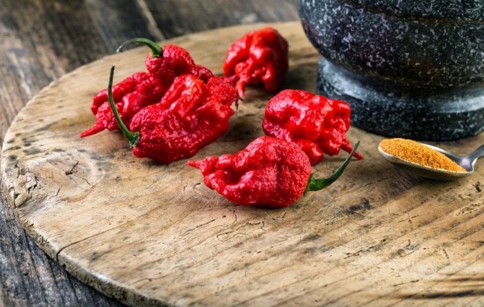 Najpálivejší druh chilli papričky, ktorá je zapísaná v knihe rekordov.